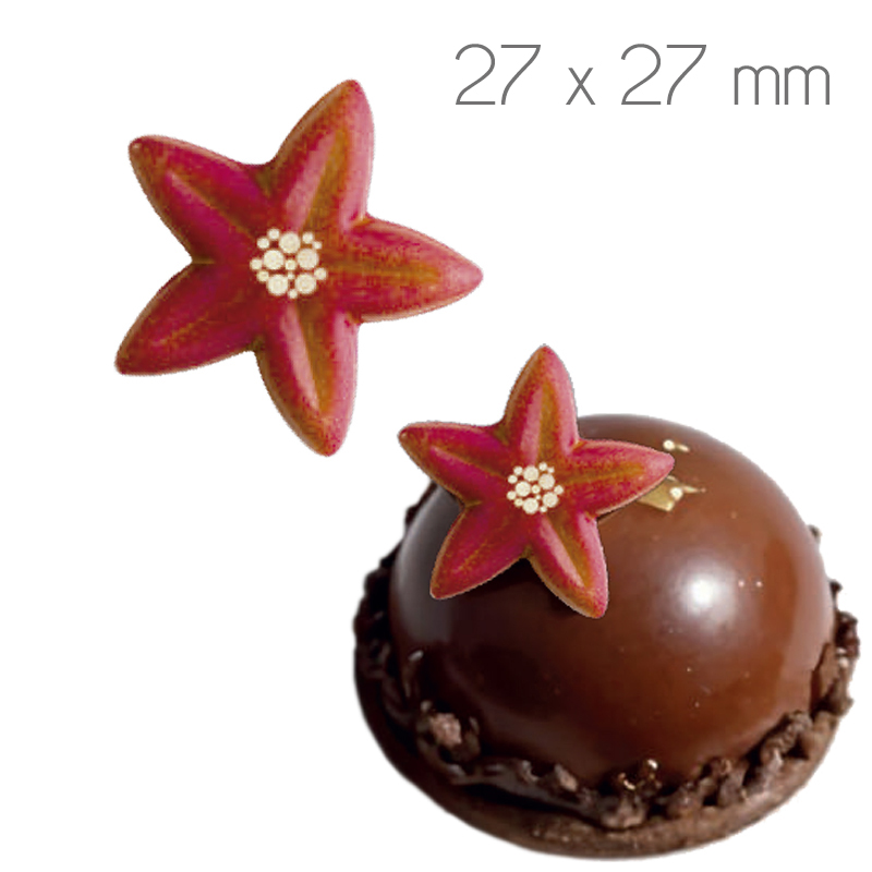 Flor navidad choco bco. 27x27 cm.r.24555f301bp c. 96 und
