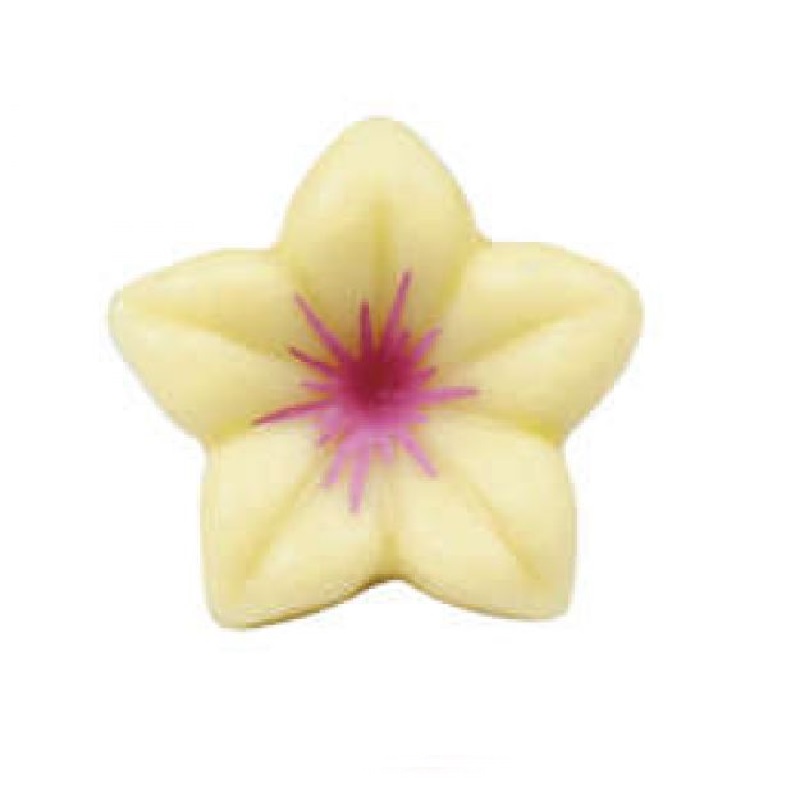 Flor jazmin rosa choco blanco ( caja 76 unds.)