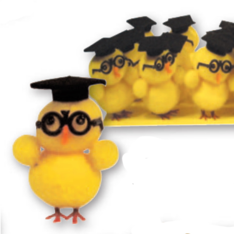 Pollitos licenciados ref. 2440 (caja 36 unid)