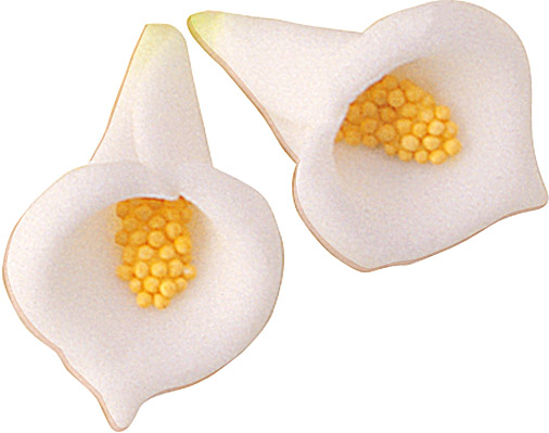Lirio azucar 3.5cm -211004