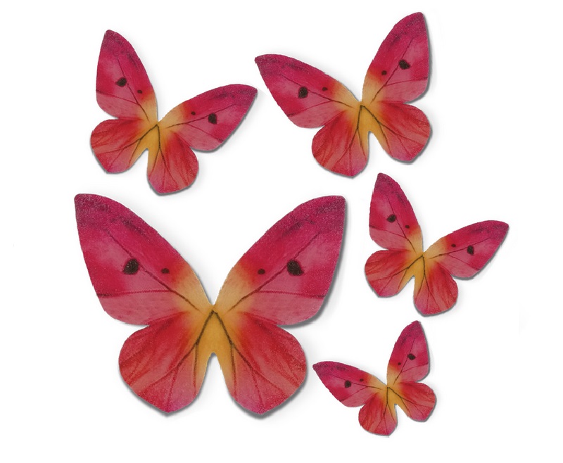 Mariposas oblea tonos rosas 3-6 cm-126169 (caja 79 und.)
