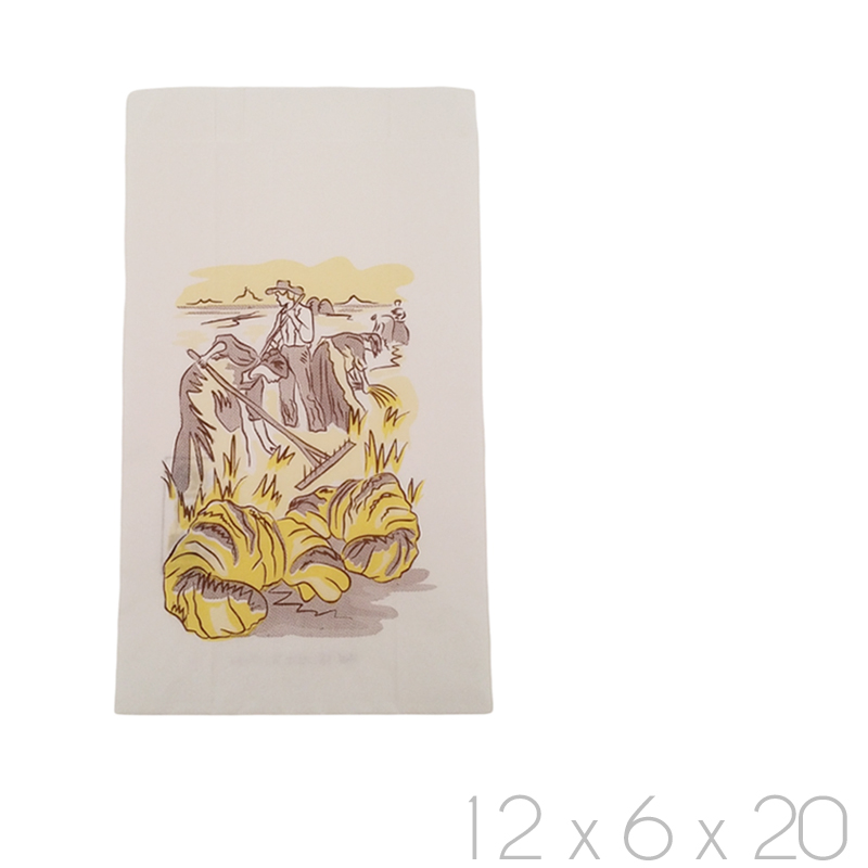 Bolsa papel blanco nº 1b 12x6x20-cajas 1000 und.