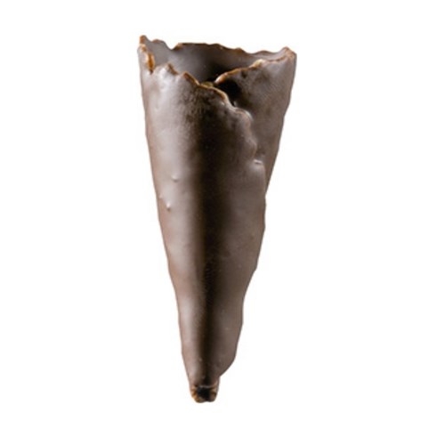 Mini cono chocolate 75x28 mm. creax "obrador" (210 und.)