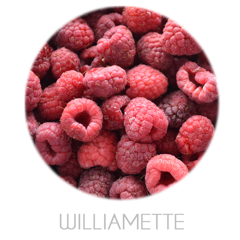 Frambuesa entera willamette (bolsa 1 kg.)